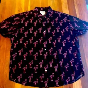 Bonobos - Flamingo Fridays